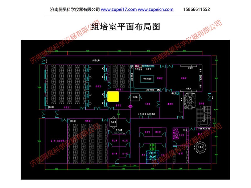 91香蕉视频APP下载官网室