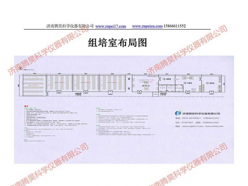 91香蕉视频APP下载官网室