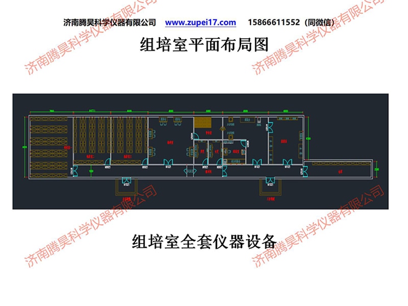 91香蕉视频APP下载官网  91香蕉视频APP下载官网室