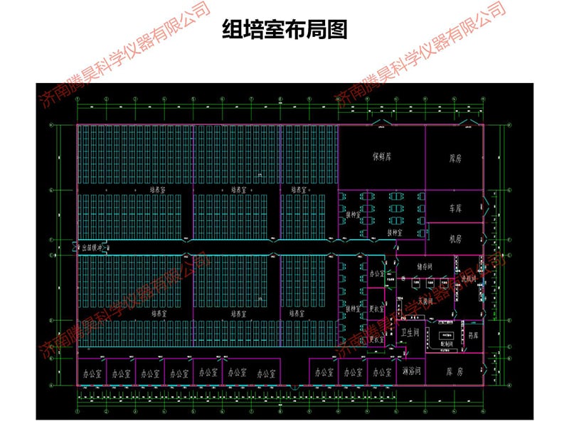 91香蕉视频APP下载官网室