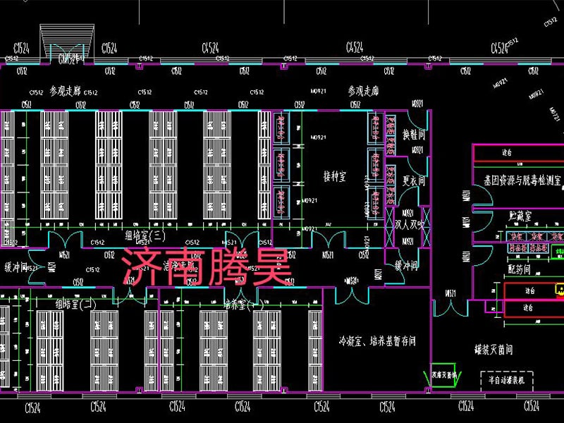 91香蕉视频APP下载官网  91香蕉视频APP下载官网室