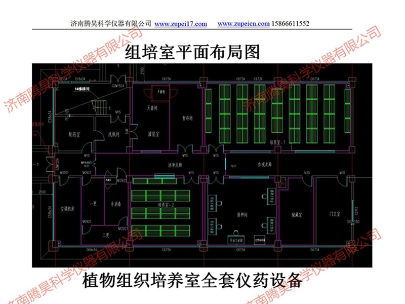 河北植物91香蕉视频APP下载官网室