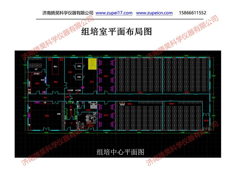 91香蕉视频APP下载官网  91香蕉视频APP下载官网室