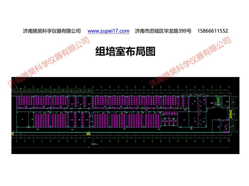 兰州新区91香蕉视频APP下载官网室设计图