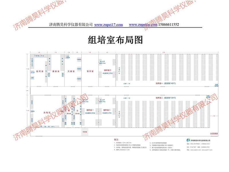 1000平91香蕉视频APP下载官网室（培养室）