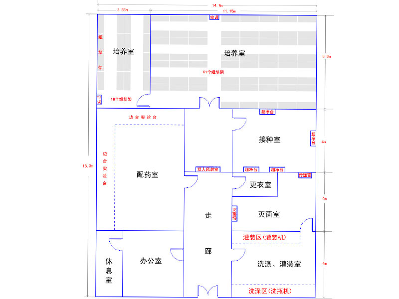 91香蕉视频APP下载官网