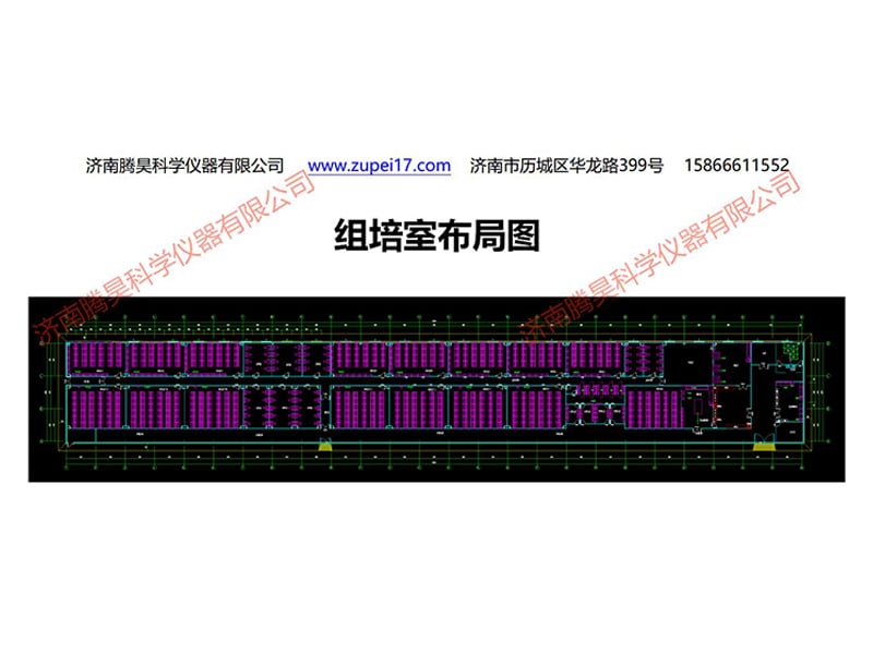 浙江植物91香蕉视频APP下载官网实验