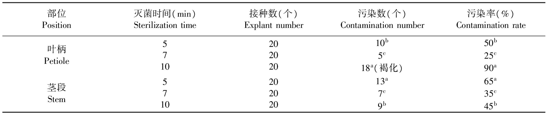 植物91香蕉视频APP下载官网设备