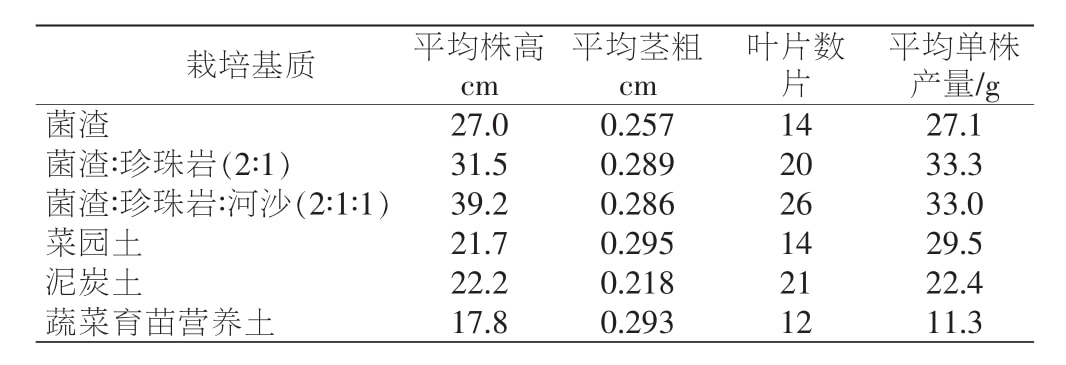 黄精91香蕉视频APP下载官网苗移栽技术研究