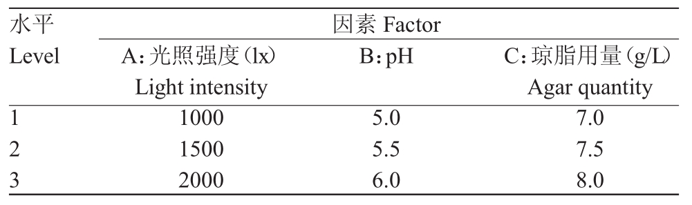 91香蕉视频APP下载官网室设计