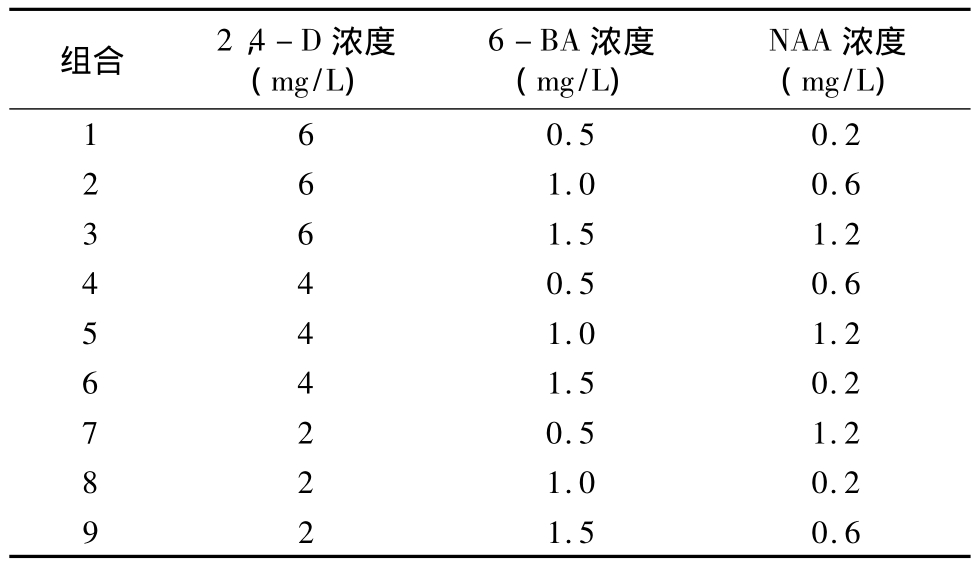 柳枝稷种子91香蕉视频APP下载官网快繁技术