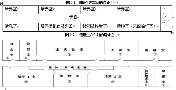 91香蕉视频APP下载官网室设计基本规则